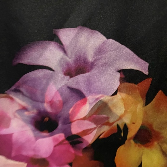 Ted Baker Black Dress with Gold Accents - Picture 4 of 4